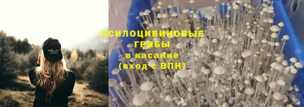 гидра Медвежьегорск
