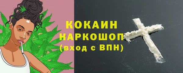 гидра Михайловск