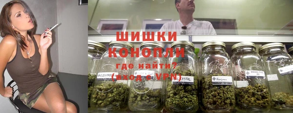 гидра Михайловск
