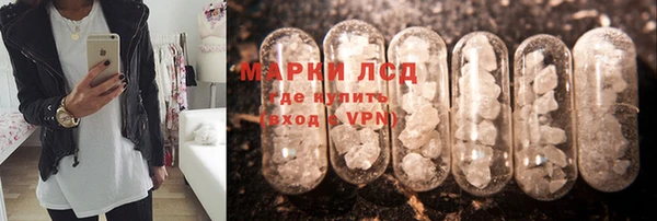 гидра Медвежьегорск