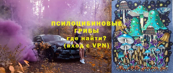 гидра Медвежьегорск